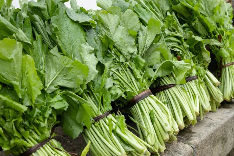 5 variedades autóctonas gallegas que deberías probar esta temporada
