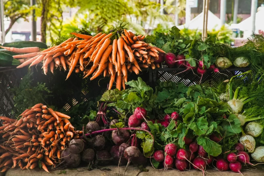 Qué sembrar mes a mes en Galicia: guía práctica para tu huerta