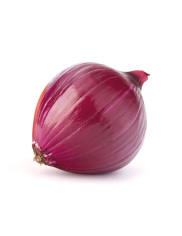 Cebolla morada entera con cáscara brillante de color púrpura rojizo sobre fondo blanco