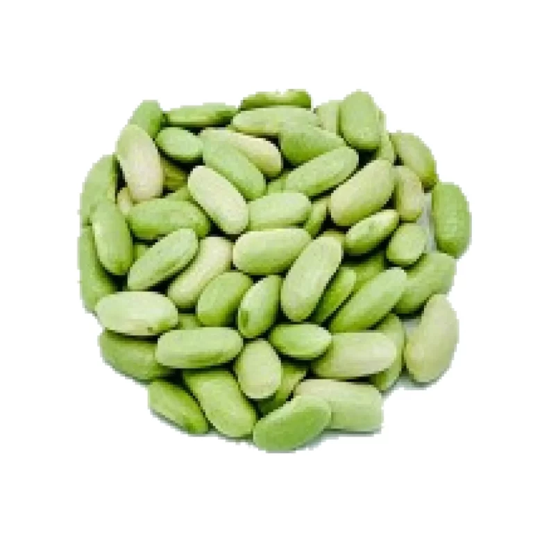 Montón de habas verdes frescas de la variedad Faba Verdina sobre fondo blanco