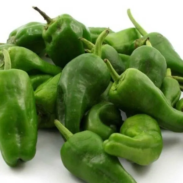 Grupo de pimientos verdes pequeños y alargados de la variedad Pimiento Celta sobre fondo blanco