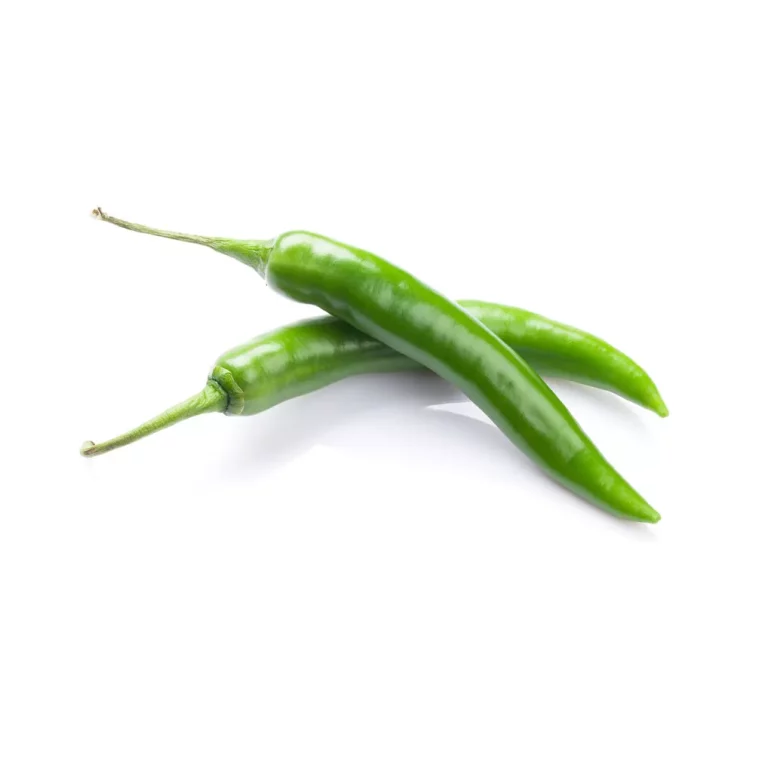 Tres pimientos guindilla dulce verdes alargados con tallo sobre fondo blanco