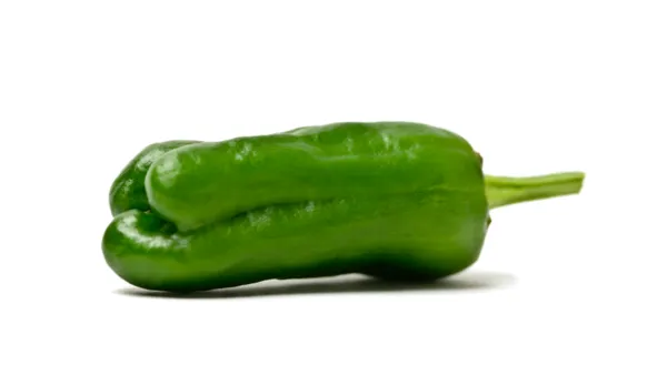 Pimiento de Seixalbo verde fresco sobre fondo blanco con tallo visible