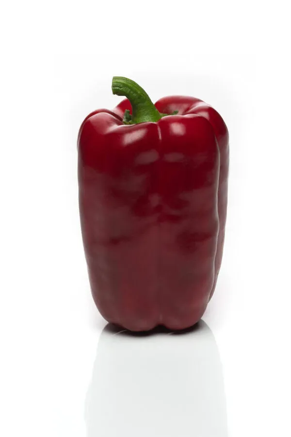 Pimiento morrón lamuyo rojo brillante con tallo verde sobre fondo blanco con reflejo