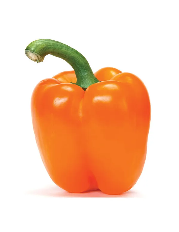 Pimiento naranja fresco con tallo verde curvado sobre fondo blanco