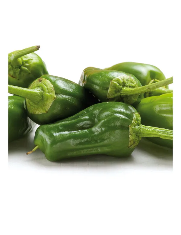 Varios pimientos de Padrón verdes frescos con tallos sobre fondo blanco
