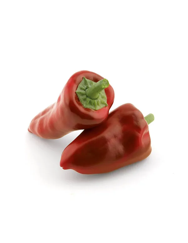 Dos pimientos rojos alargados con forma cónica y tallos verdes sobre fondo blanco