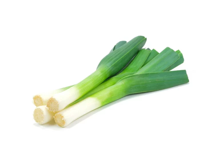 Varios puerros híbridos frescos con tallos blancos y hojas verdes largas sobre fondo blanco
