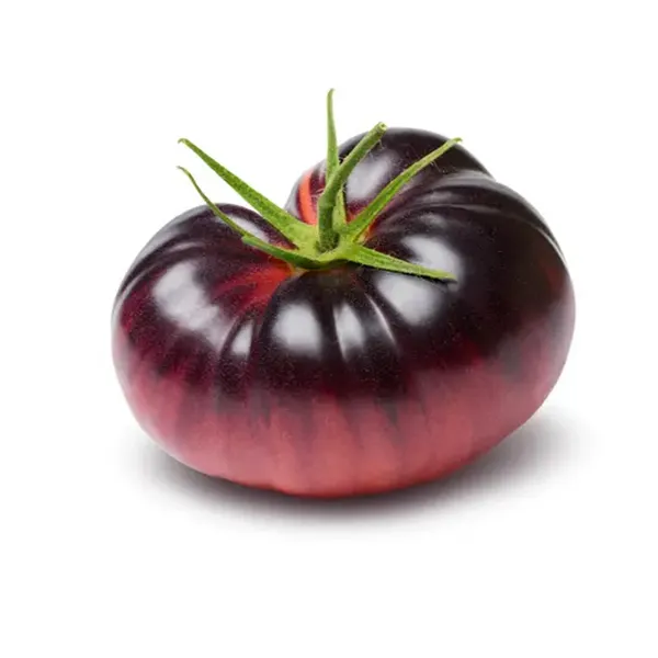 Tomate azul maduro de color púrpura oscuro con estrías rojas y tallo verde sobre fondo blanco