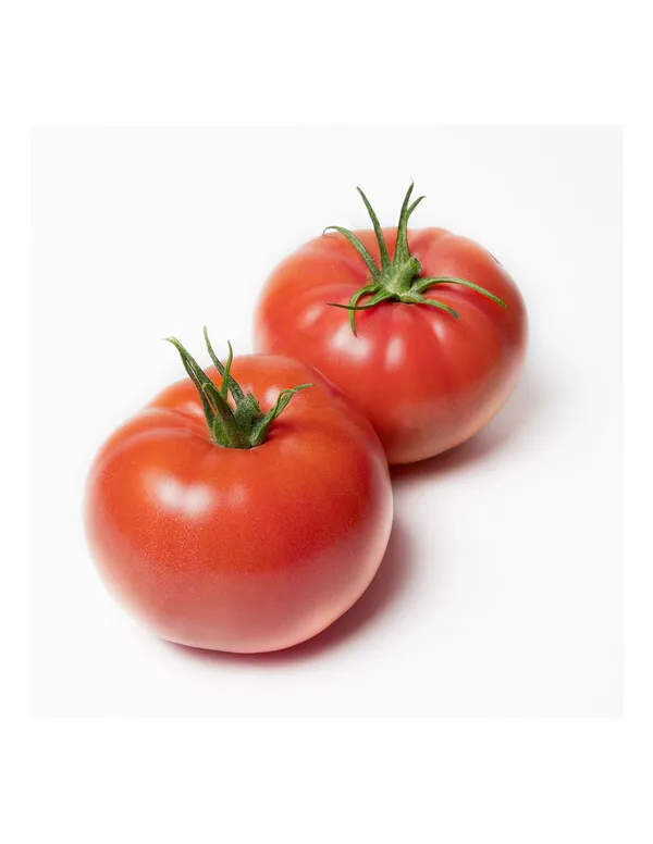 Dos tomates beef maduros de color rojo intenso con tallos verdes sobre fondo blanco