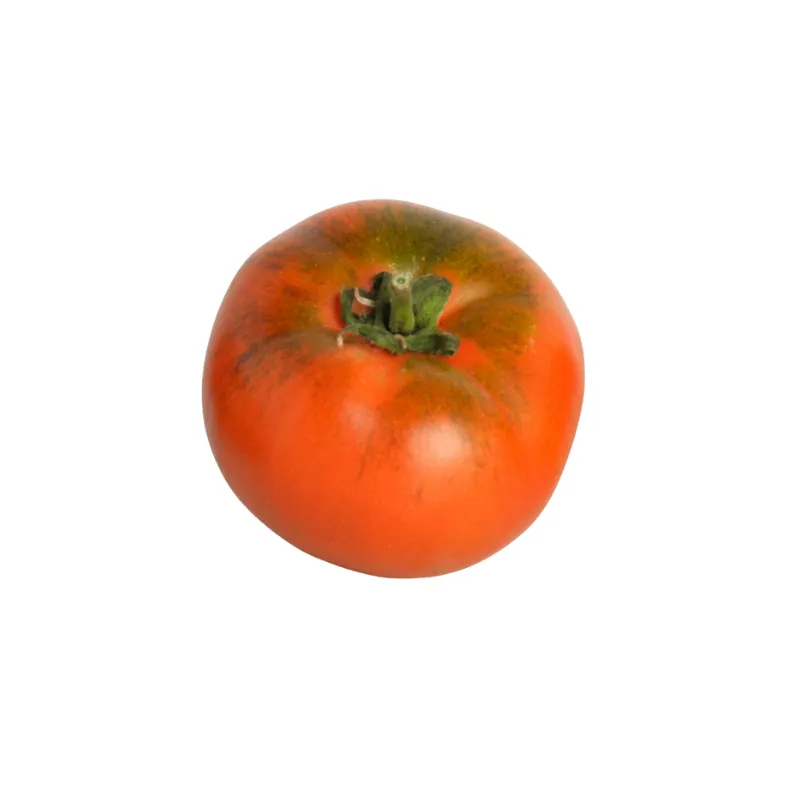 Tomate Caramba maduro de color rojo con tonos verdes en la parte superior y tallo verde visible