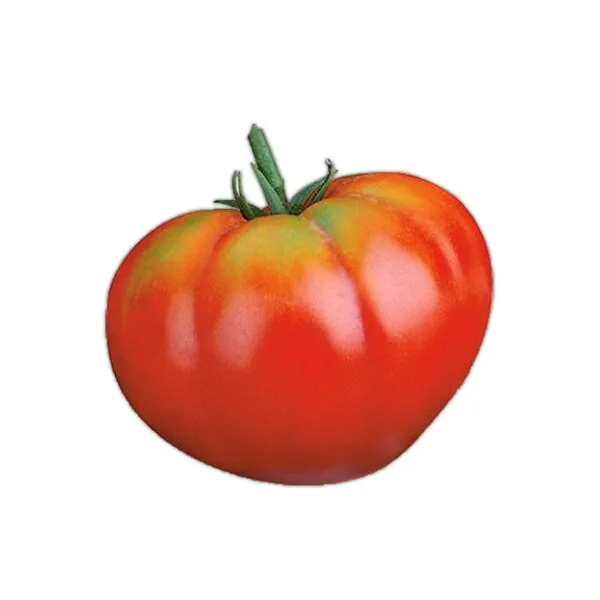 Tomate Corazón de Buey grande de color rojo con tonos amarillos y verdes cerca del tallo, forma redondeada y achatada