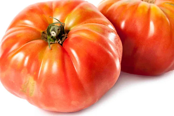 Dos tomates grandes de color rojo-naranja con forma irregular y acanalada sobre fondo blanco