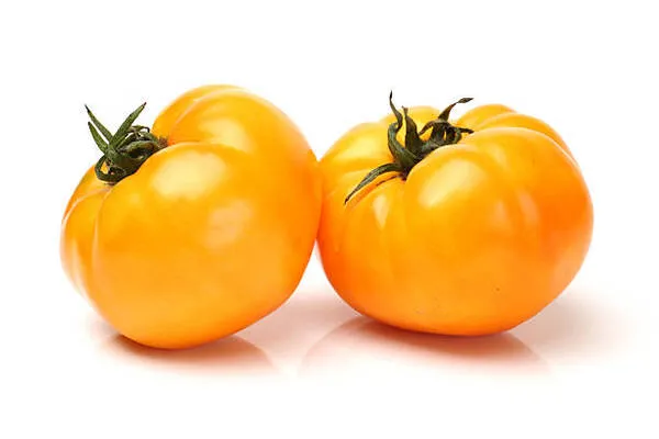 Dos tomates naranjas maduros con tallos verdes sobre fondo blanco