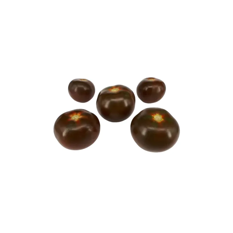 Cinco tomates negros maduros de diferentes tamaños sobre fondo blanco, con tonos marrones y reflejos dorados