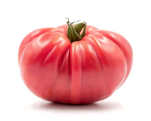 Tomate rosa grande y carnoso con forma acostillada sobre fondo blanco