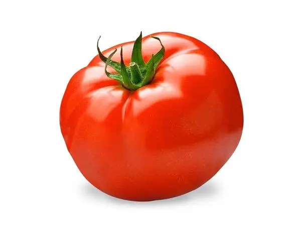 Tomate rojo maduro con tallo verde sobre fondo blanco