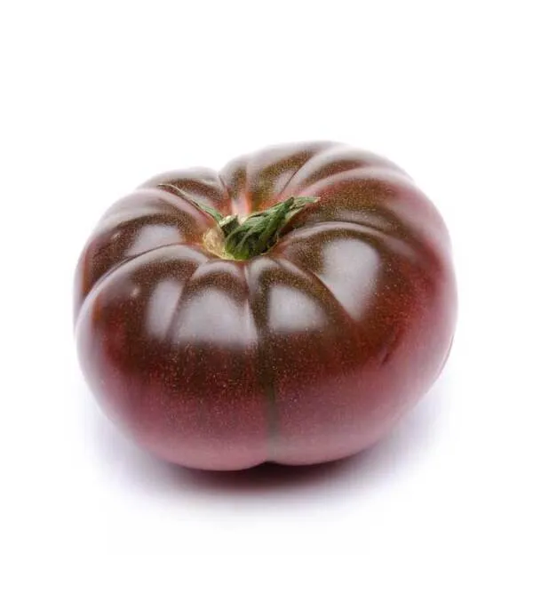 Tomate Cherokee maduro de color púrpura oscuro con forma acanalada característica sobre fondo blanco