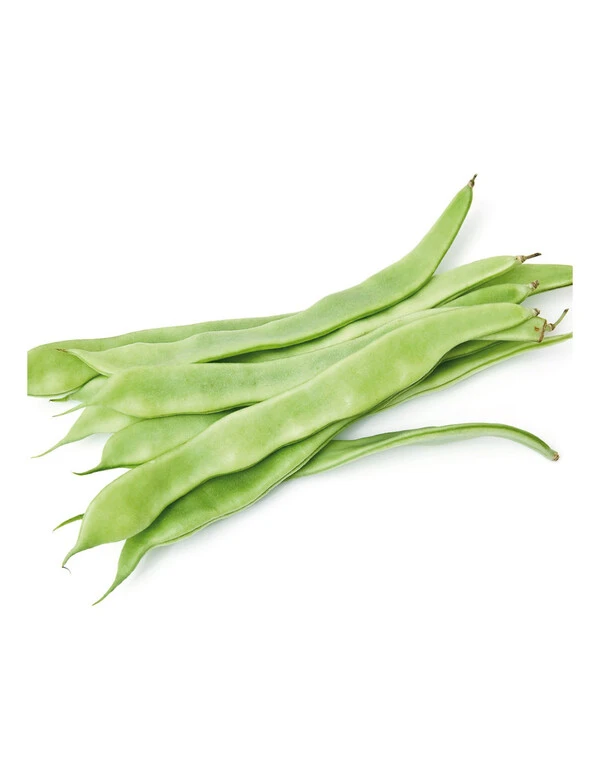 Vainas verdes planas de judía baja dispuestas sobre fondo blanco, mostrando su forma alargada y color verde claro