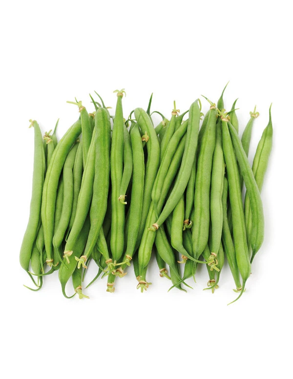 Múltiples vainas verdes alargadas de judías enrame redonda agrupadas sobre fondo blanco